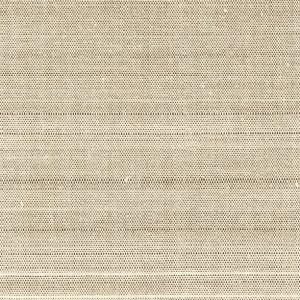 GB2793 Hair Canvas