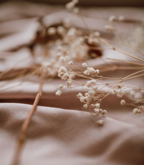 Cotton Natural Sateen Fabric