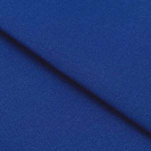 Water Resistant Canvas Royal